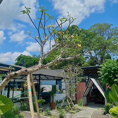 The Jungle Hostel Canggu Buitenkant foto