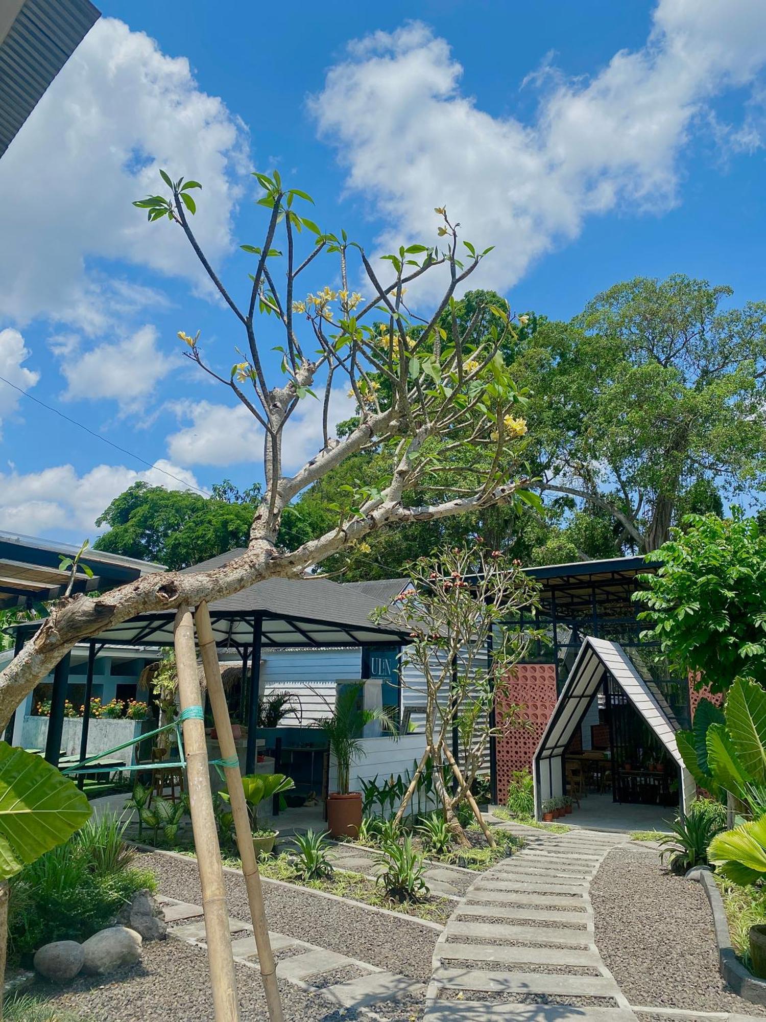 The Jungle Hostel Canggu Buitenkant foto