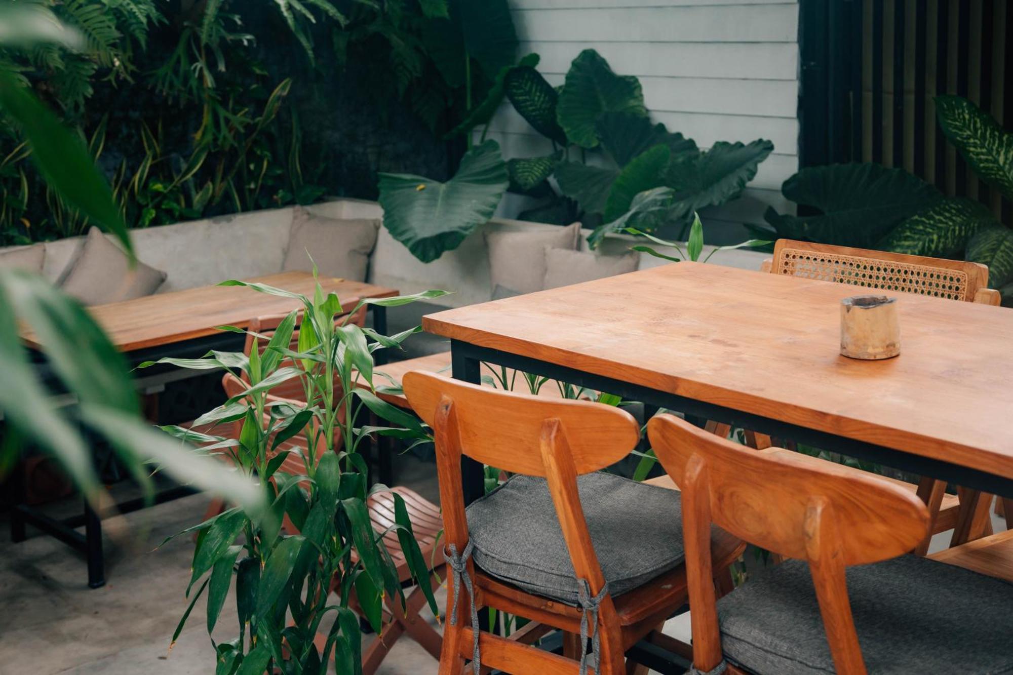 The Jungle Hostel Canggu Buitenkant foto