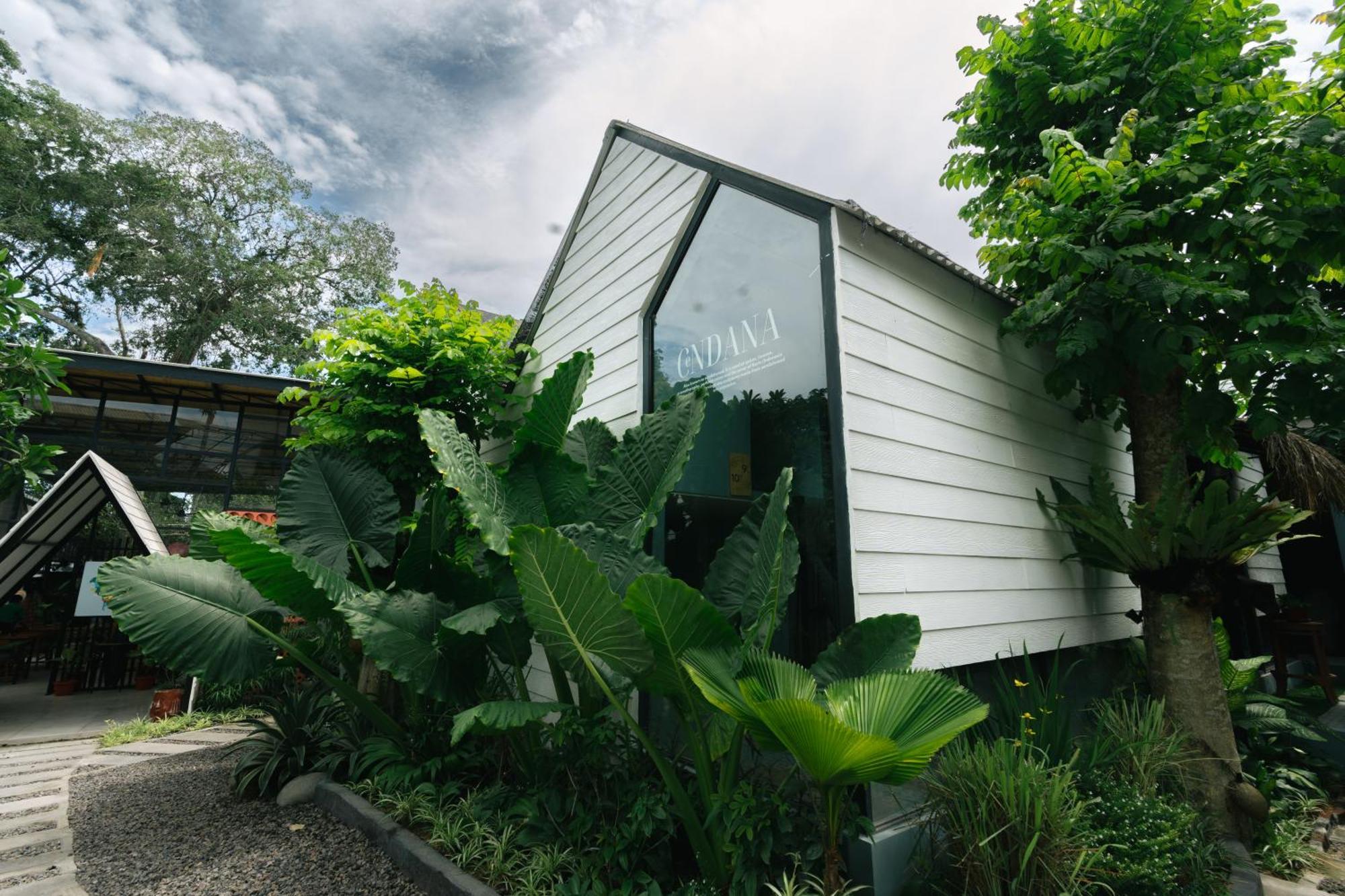 The Jungle Hostel Canggu Buitenkant foto