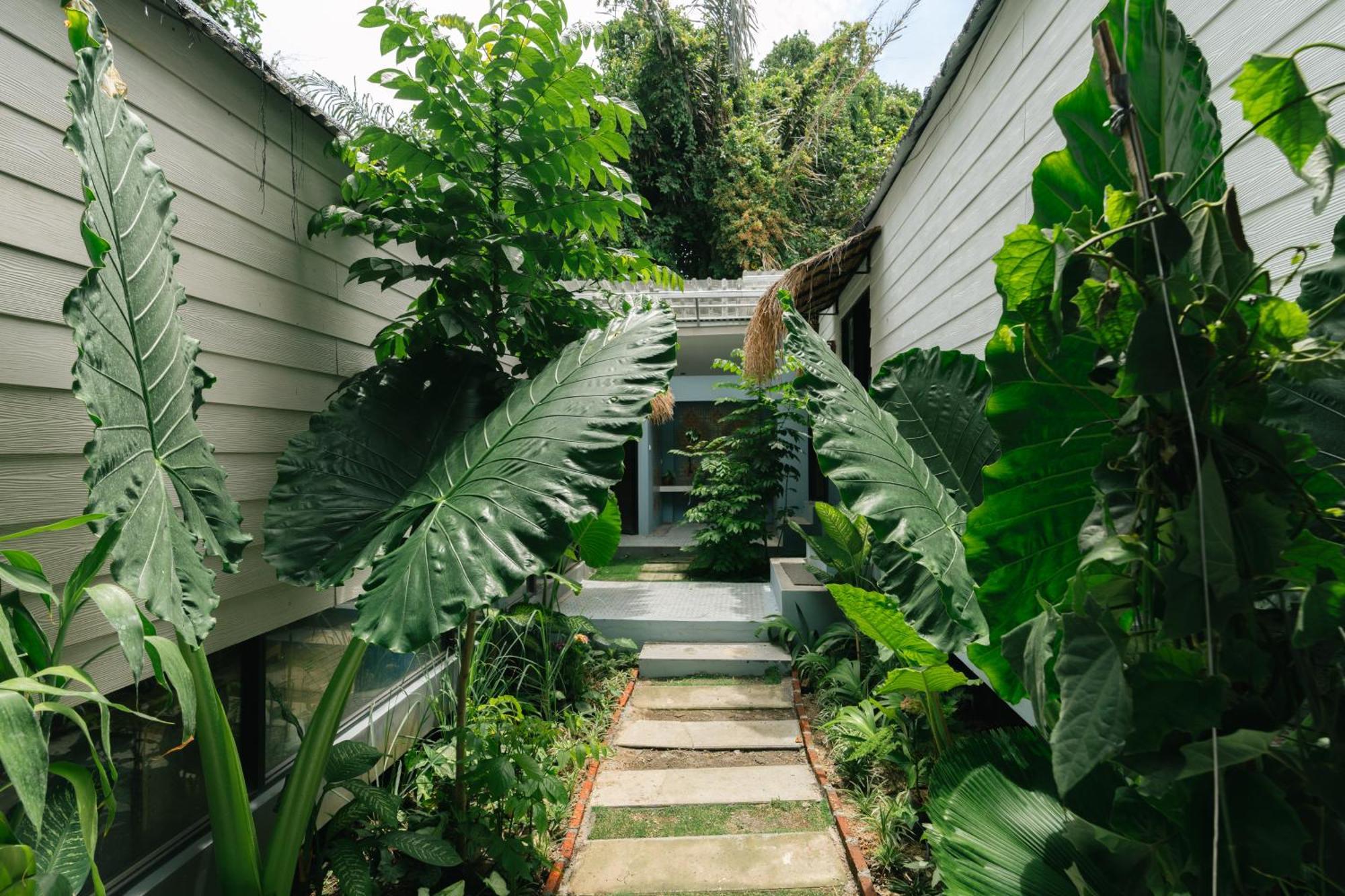 The Jungle Hostel Canggu Buitenkant foto