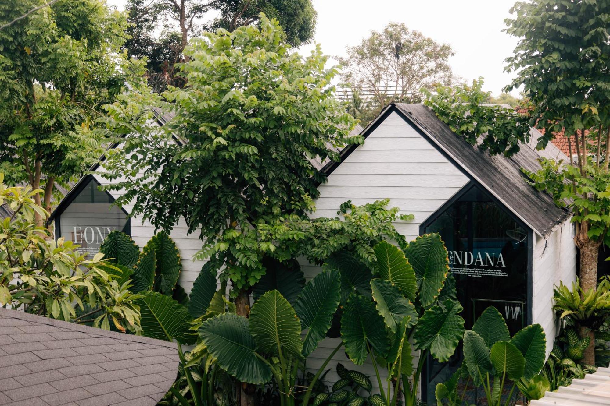 The Jungle Hostel Canggu Buitenkant foto