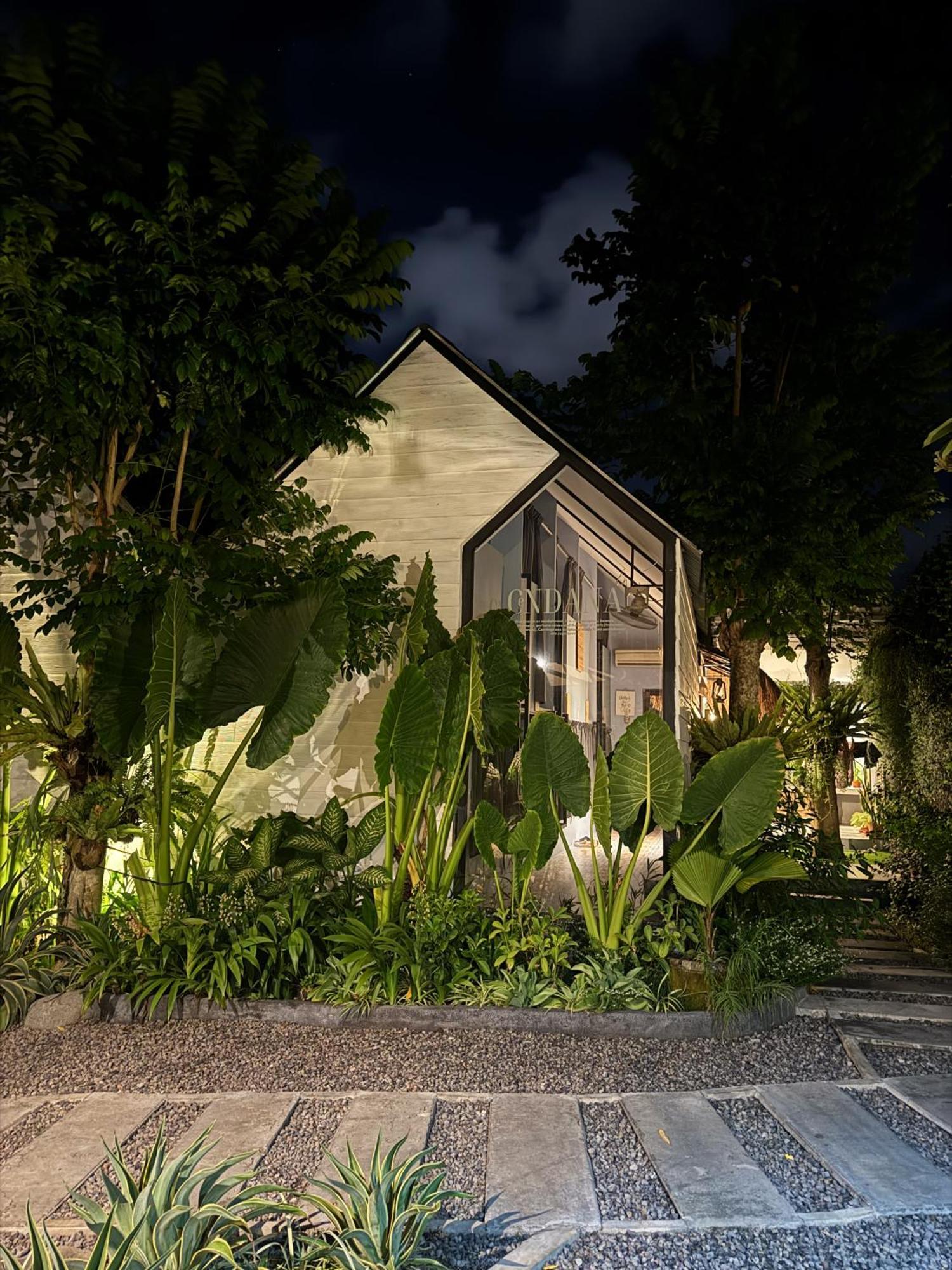 The Jungle Hostel Canggu Buitenkant foto